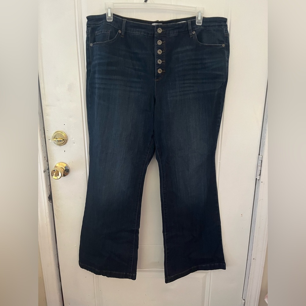 Sofia Jeans by Sofia Vergara Dark Whiskered Wash 22W Button Fly
